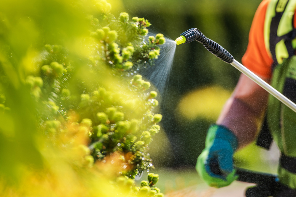 Pest Control Fort Collins Colorado Pest Control Northern Colorado Tree Care